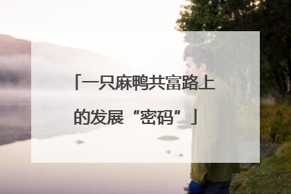 一只麻鸭共富路上的发展“密码”