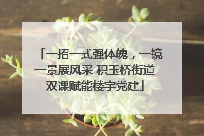一招一式强体魄，一镜一景展风采 积玉桥街道双课赋能楼宇党建