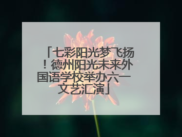 七彩阳光梦飞扬！德州阳光未来外国语学校举办六一文艺汇演