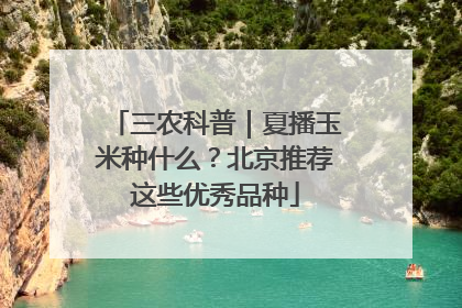 三农科普｜夏播玉米种什么？北京推荐这些优秀品种