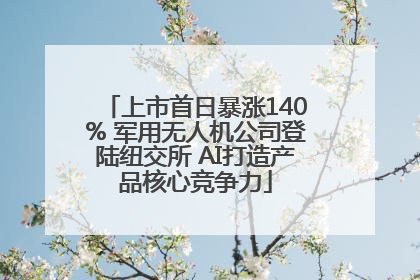 上市首日暴涨140% 军用无人机公司登陆纽交所 AI打造产品核心竞争力
