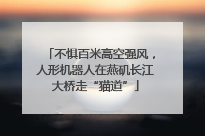 不惧百米高空强风，人形机器人在燕矶长江大桥走“猫道”
