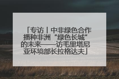 专访丨中非绿色合作播种非洲“绿色长城”的未来——访毛里塔尼亚环境部长拉格达夫