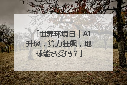 世界环境日｜AI升级，算力狂飙，地球能承受吗？