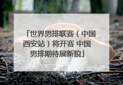 世界男排联赛（中国西安站）将开赛 中国男排期待展新貌