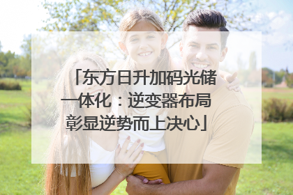 东方日升加码光储一体化：逆变器布局彰显逆势而上决心