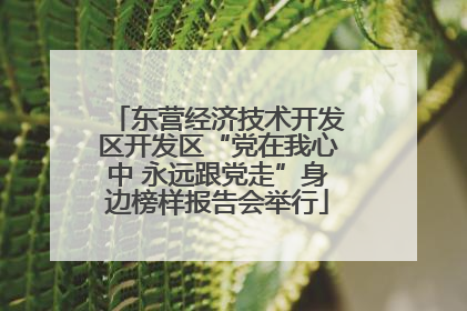 东营经济技术开发区开发区“党在我心中 永远跟党走”身边榜样报告会举行
