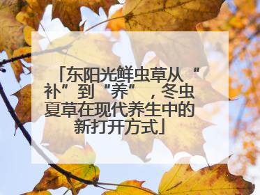 东阳光鲜虫草从“补”到“养”，冬虫夏草在现代养生中的新打开方式