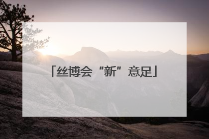 丝博会“新”意足