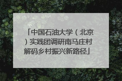 中国石油大学（北京）实践团调研南马庄村解码乡村振兴新路径