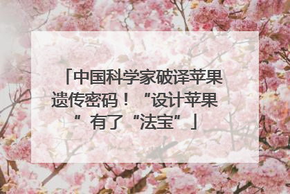 中国科学家破译苹果遗传密码！“设计苹果”有了“法宝”