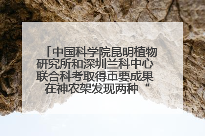 中国科学院昆明植物研究所和深圳兰科中心联合科考取得重要成果 在神农架发现两种“国保”级兰花