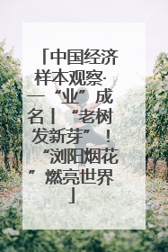 中国经济样本观察·一“业”成名丨“老树发新芽”！“浏阳烟花”燃亮世界