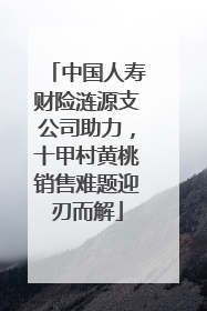 中国人寿财险涟源支公司助力，十甲村黄桃销售难题迎刃而解