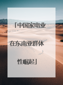 中国家电业在东南亚群体性崛起