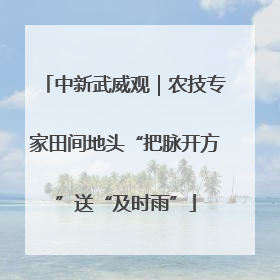 中新武威观｜农技专家田间地头“把脉开方”送“及时雨”