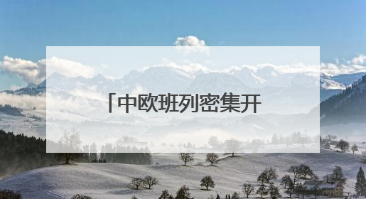 中欧班列密集开行助推“落地经济” 激活周边地区发展新动能