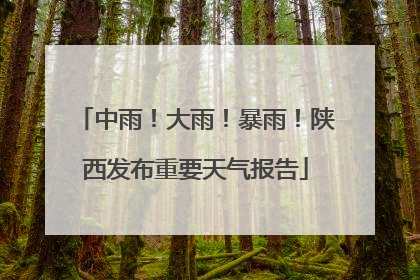 中雨！大雨！暴雨！陕西发布重要天气报告