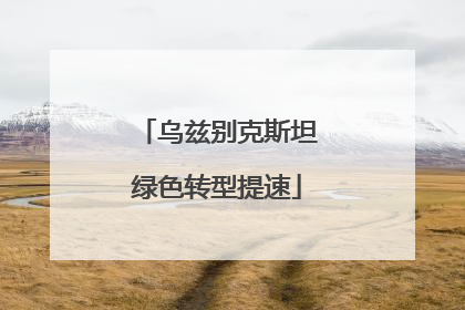 乌兹别克斯坦绿色转型提速