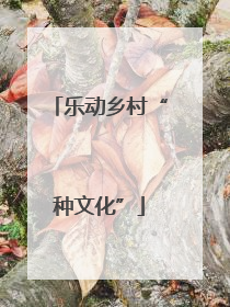 乐动乡村“种文化”