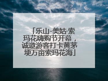 乐山-美姑·索玛花嗨购节开幕，诚邀游客打卡黄茅埂万亩索玛花海