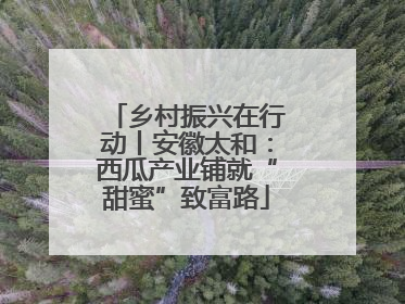 乡村振兴在行动丨安徽太和：西瓜产业铺就“甜蜜”致富路
