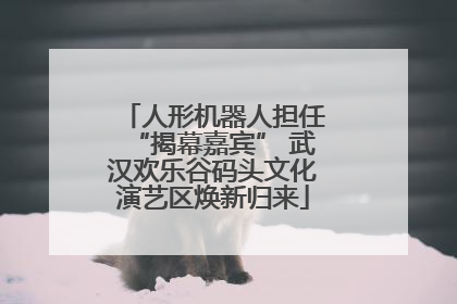 人形机器人担任“揭幕嘉宾” 武汉欢乐谷码头文化演艺区焕新归来
