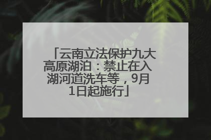 云南立法保护九大高原湖泊：禁止在入湖河道洗车等，9月1日起施行