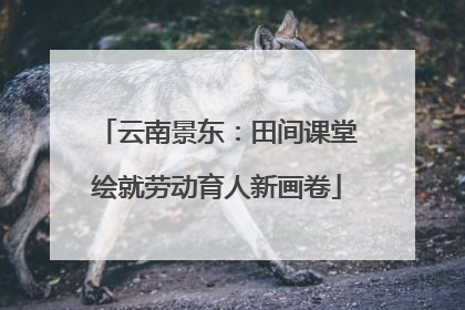 云南景东：田间课堂绘就劳动育人新画卷