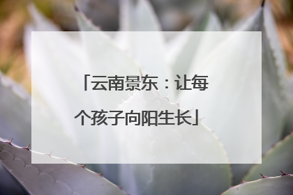 云南景东：让每个孩子向阳生长