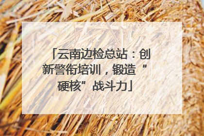 云南边检总站：创新警衔培训，锻造“硬核”战斗力