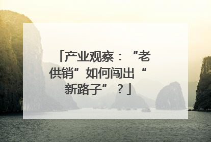 产业观察：“老供销”如何闯出“新路子”？