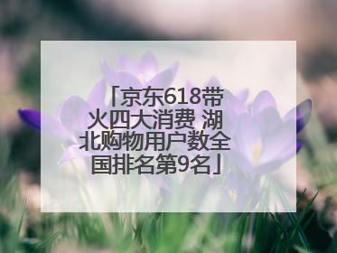 京东618带火四大消费 湖北购物用户数全国排名第9名