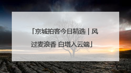 京城拍客今日精选｜风过麦浪香 白塔入云端