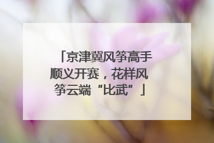 京津冀风筝高手顺义开赛，花样风筝云端“比武”