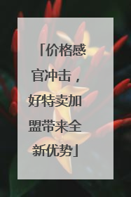 价格感官冲击，好特卖加盟带来全新优势