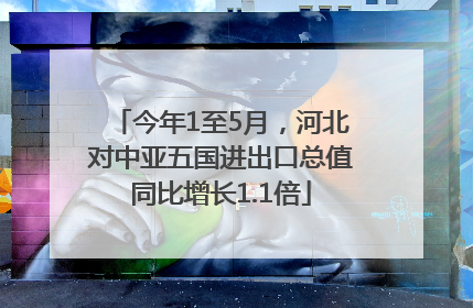 今年1至5月，河北对中亚五国进出口总值同比增长1.1倍