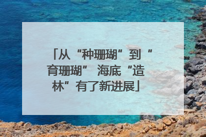 从“种珊瑚”到“育珊瑚” 海底“造林”有了新进展