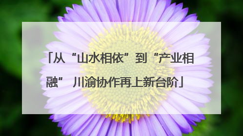 从“山水相依”到“产业相融” 川渝协作再上新台阶
