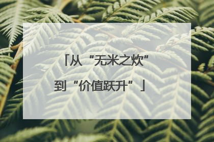 从“无米之炊”到“价值跃升”