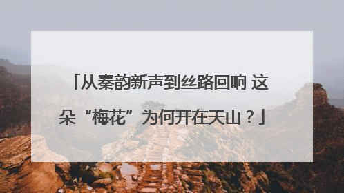 从秦韵新声到丝路回响 这朵“梅花”为何开在天山？