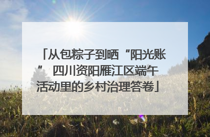 从包粽子到晒“阳光账” 四川资阳雁江区端午活动里的乡村治理答卷