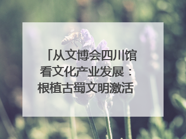 从文博会四川馆看文化产业发展：根植古蜀文明激活创新基因｜文博向“新”
