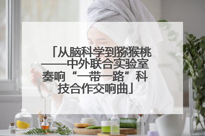 从脑科学到猕猴桃——中外联合实验室奏响“一带一路”科技合作交响曲