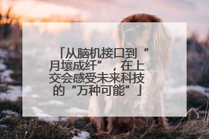 从脑机接口到“月壤成纤”，在上交会感受未来科技的“万种可能”