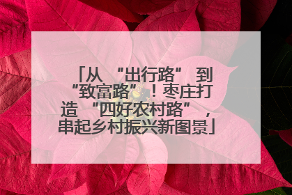 从 “出行路” 到 “致富路”！枣庄打造 “四好农村路”，串起乡村振兴新图景