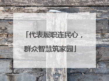 代表履职连民心，群众智慧筑家园