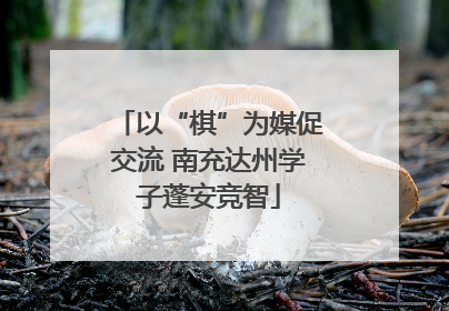 以“棋”为媒促交流 南充达州学子蓬安竞智