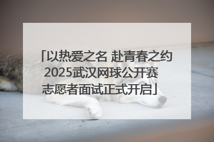 以热爱之名 赴青春之约 2025武汉网球公开赛志愿者面试正式开启