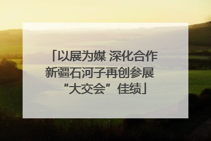 以展为媒 深化合作 新疆石河子再创参展“大交会”佳绩
